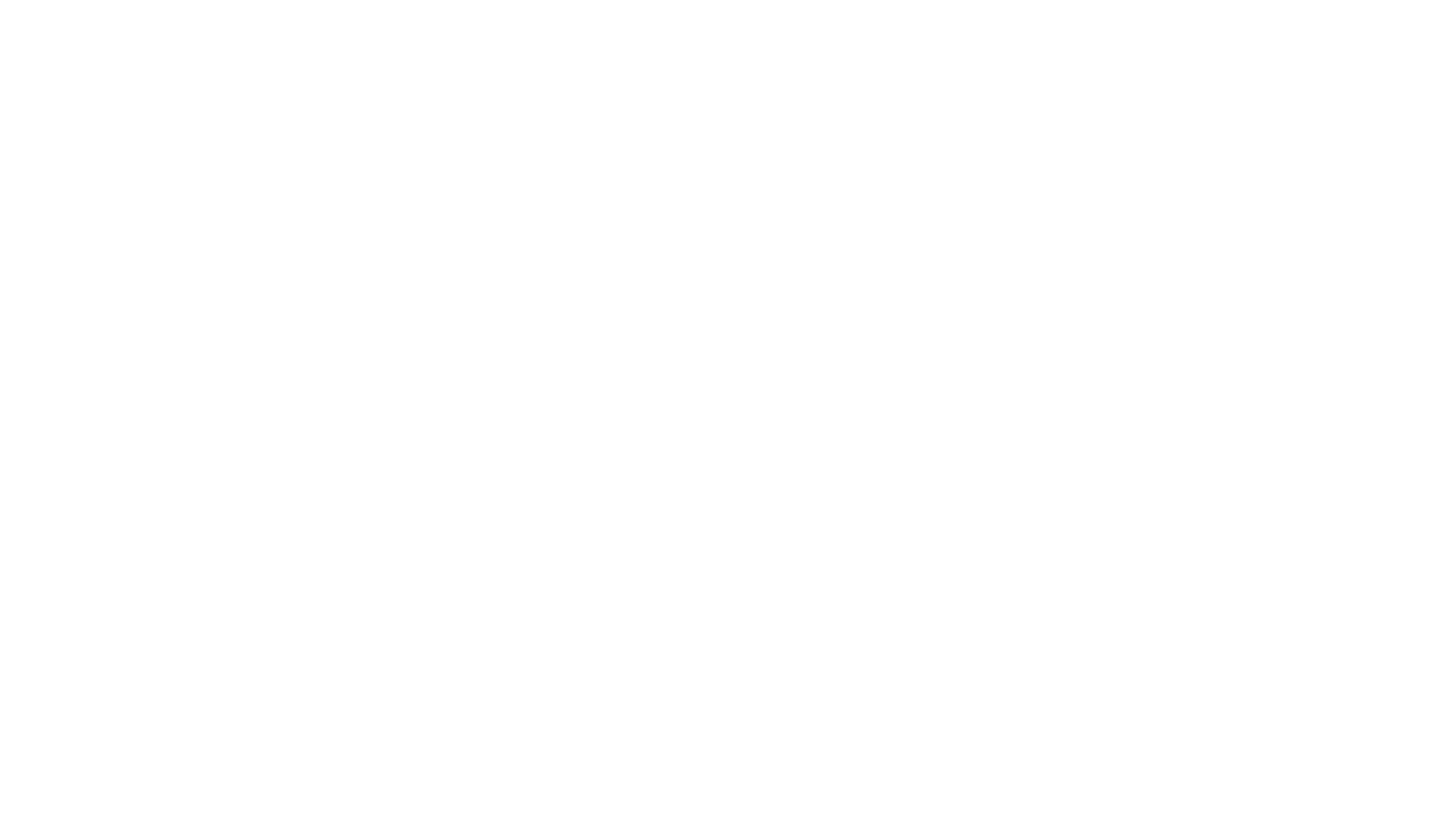 Rmd privatechauffer.ch